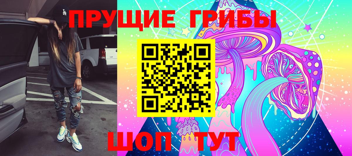 Псилоцибиновые грибы мицелий  Псилоцибиновые грибы Psilocybe  Вологда  Вход с VPN 
