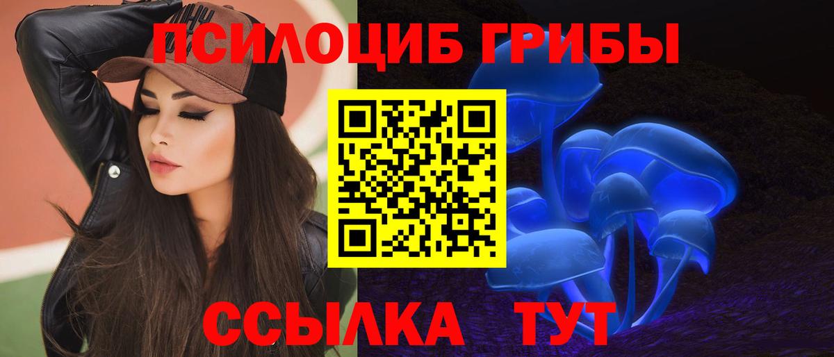 Псилоцибиновые грибы Psilocybe Вологда